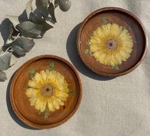 Pressed yellow Zinnia - Catch all 150mm