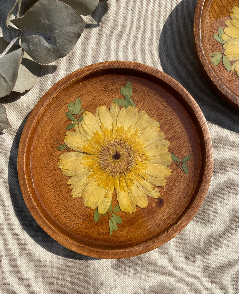 Pressed yellow Zinnia - Catch all 150mm