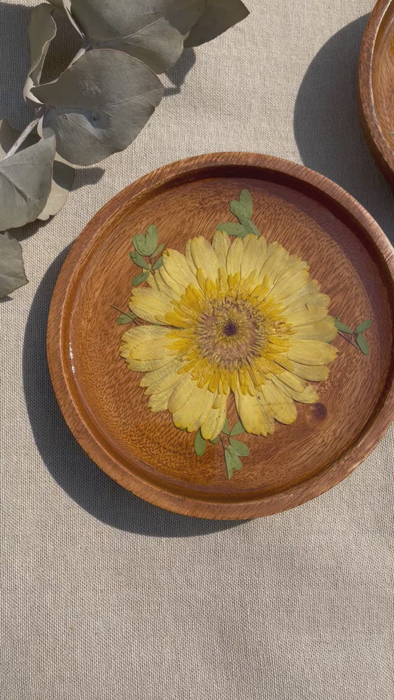 
            
                Load and play video in Gallery viewer, Pressed yellow Zinnia - Catch all 150mm
            
        