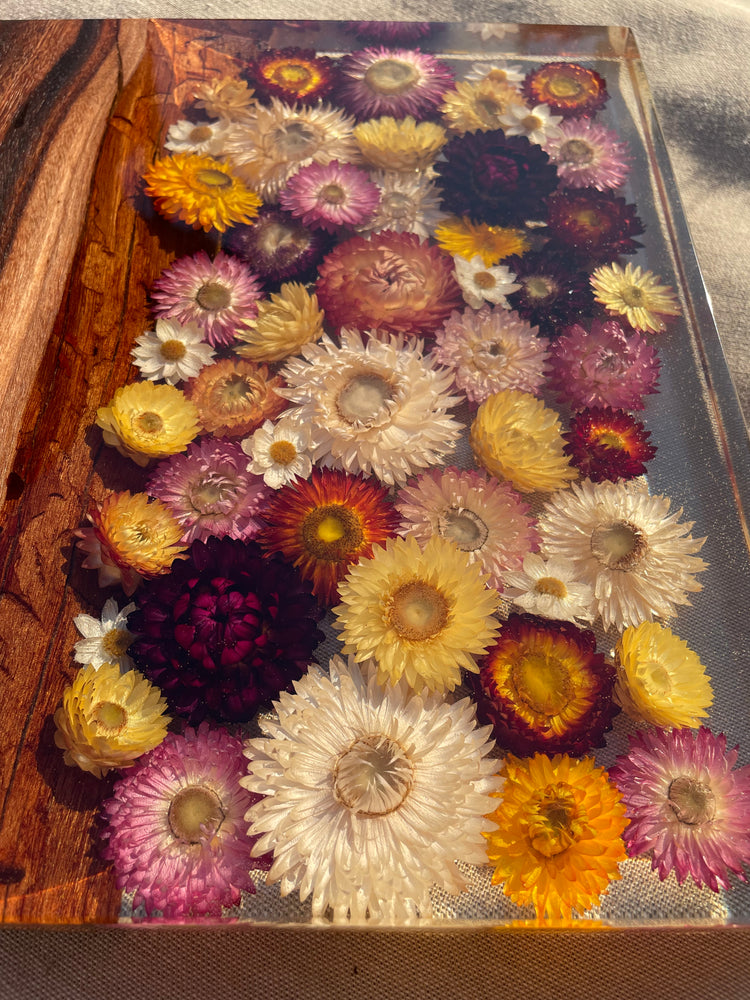 *PRE ORDER - Sally Organic Strawflowers Board 300mm x 300mm