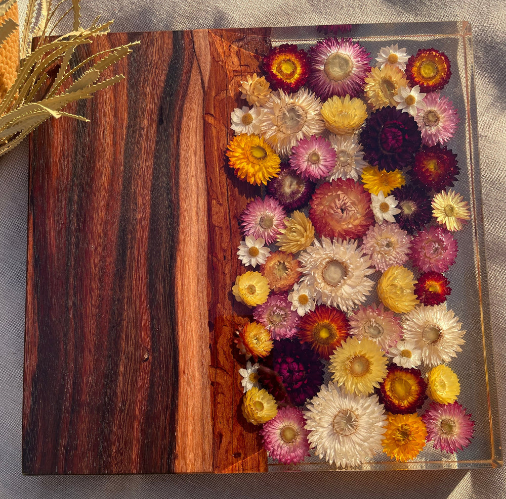 *PRE ORDER - Sally Organic Strawflowers Board 300mm x 300mm